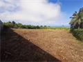 terrain à la vente